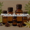 Essential Oil vs Perfume: Key Differences and Benefits Explained