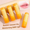 Hydrating Repair Lip Balm Aloe Vitamin Essence